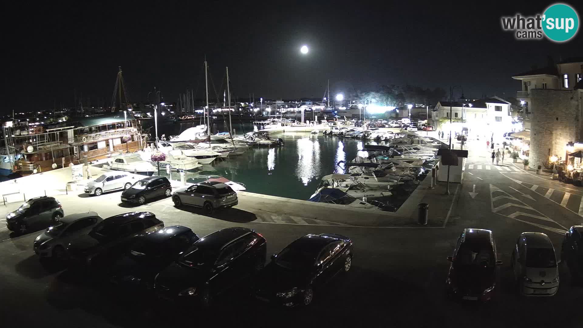 Novigrad | Porporela marina