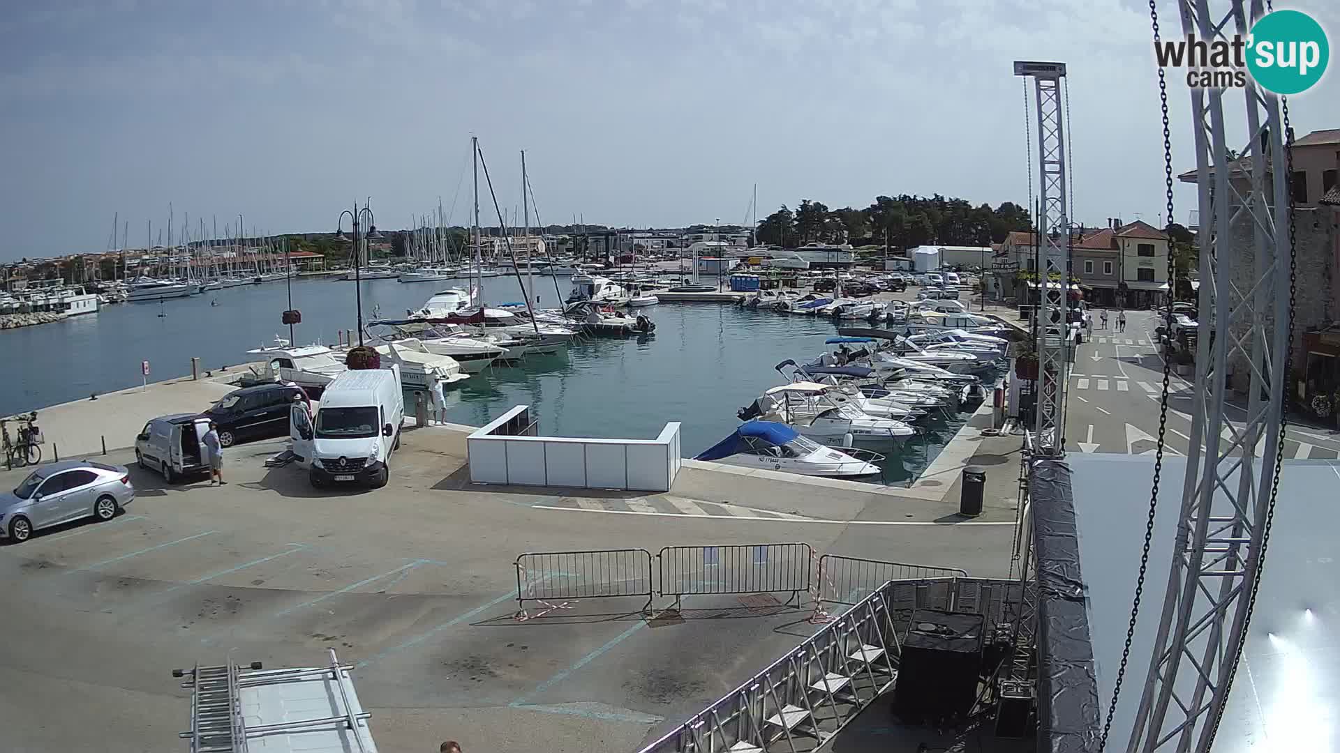 Novigrad | Porporela marina