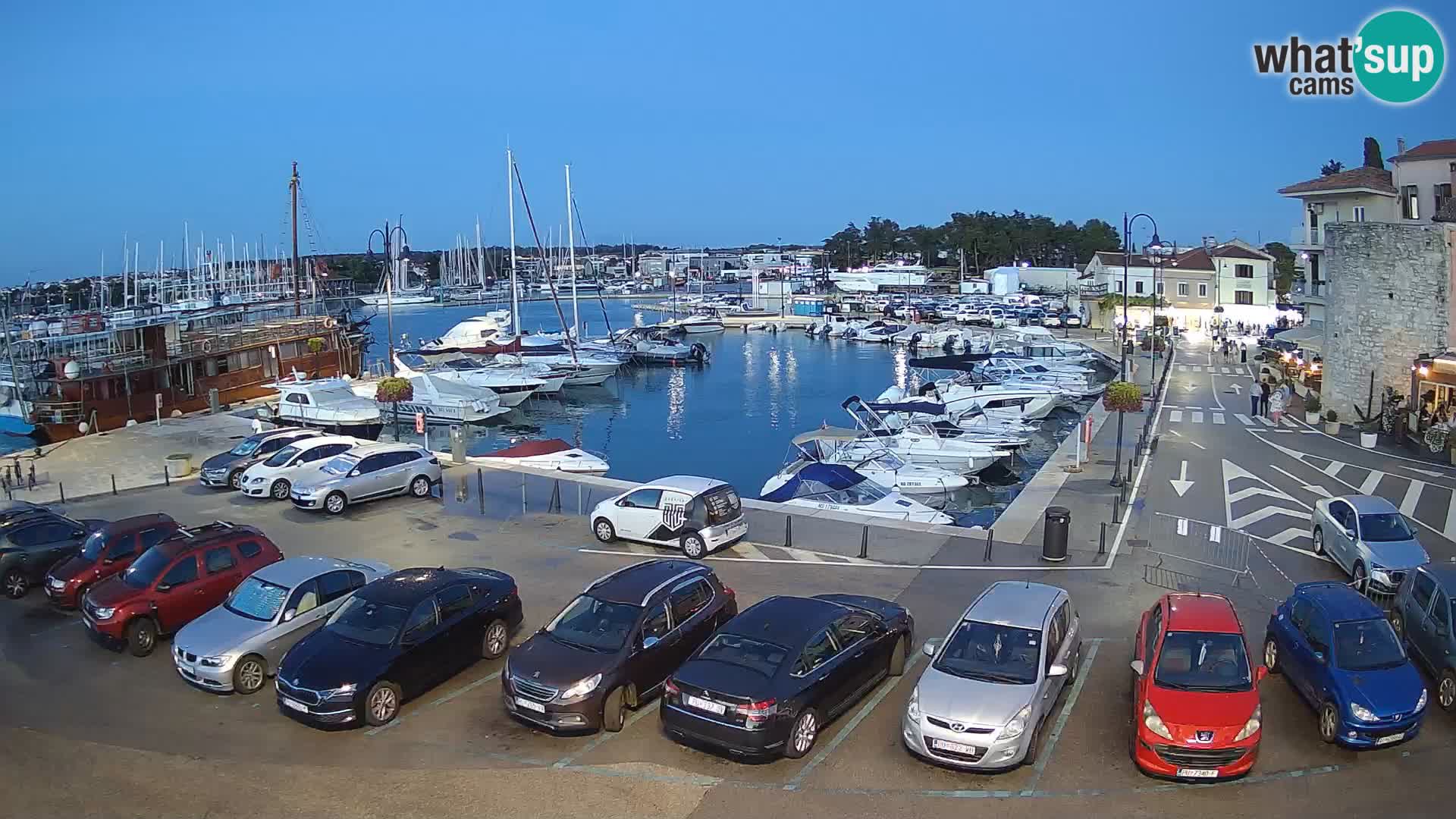 Novigrad | Porporela marina