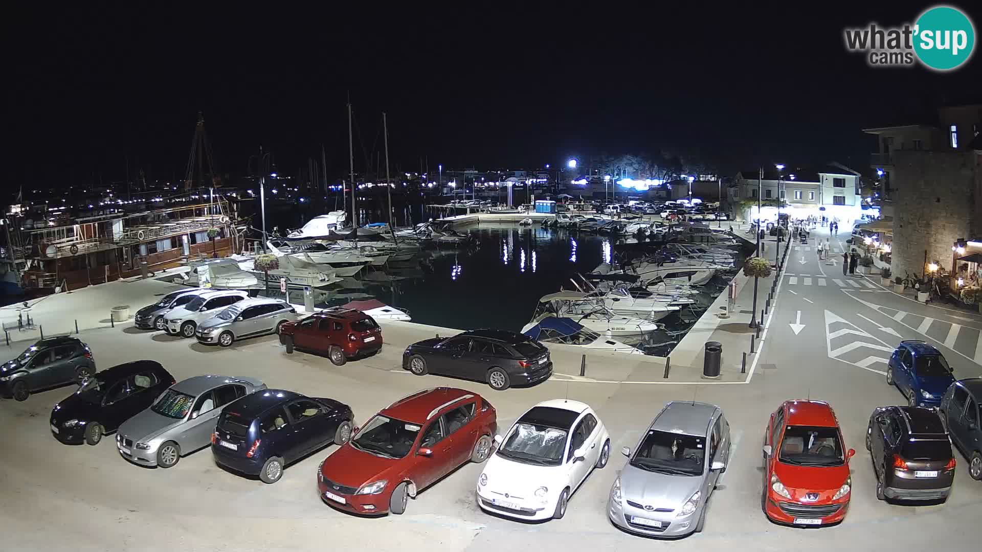Novigrad | Porporela marina