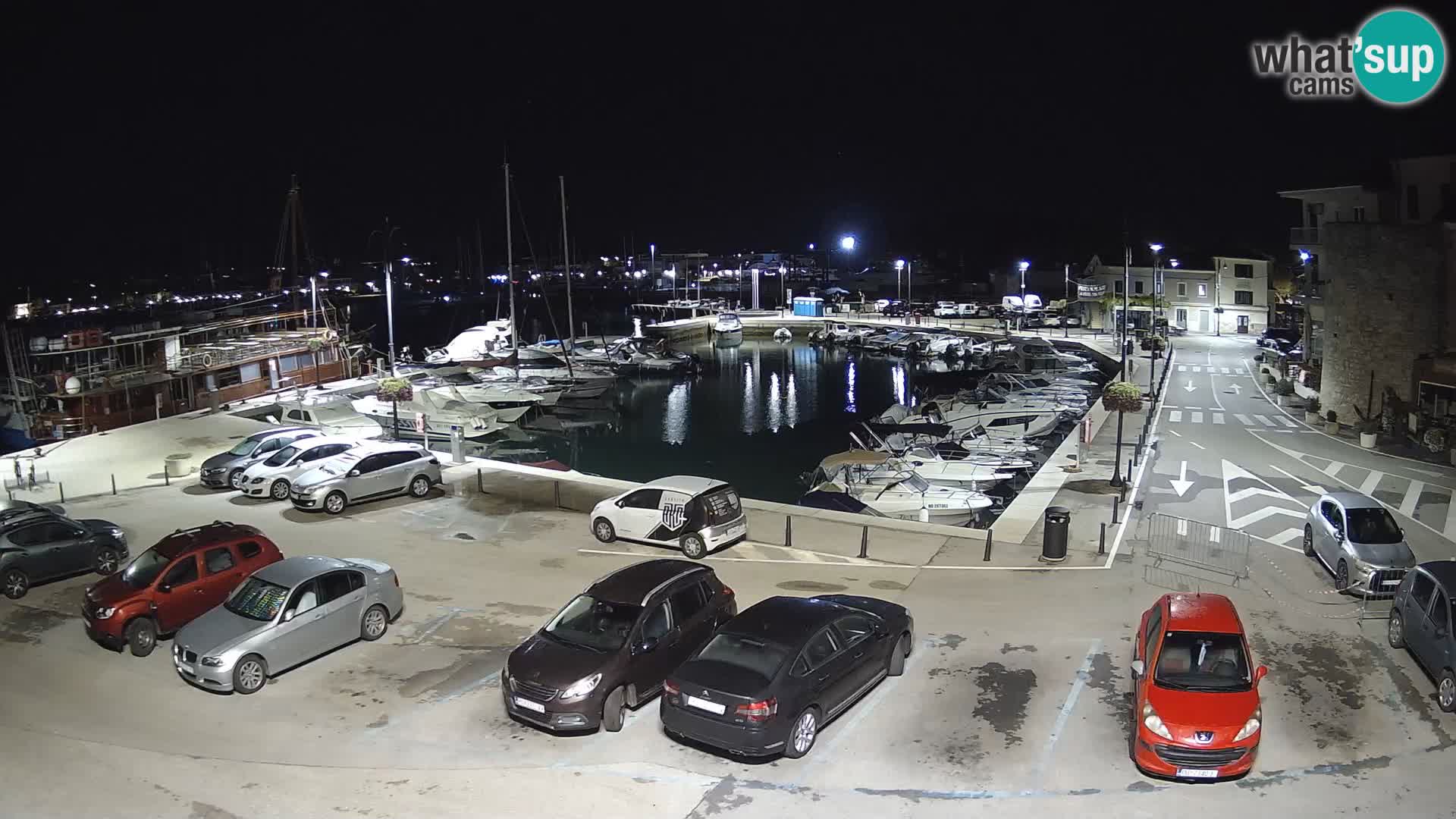 Novigrad | Porporela marina