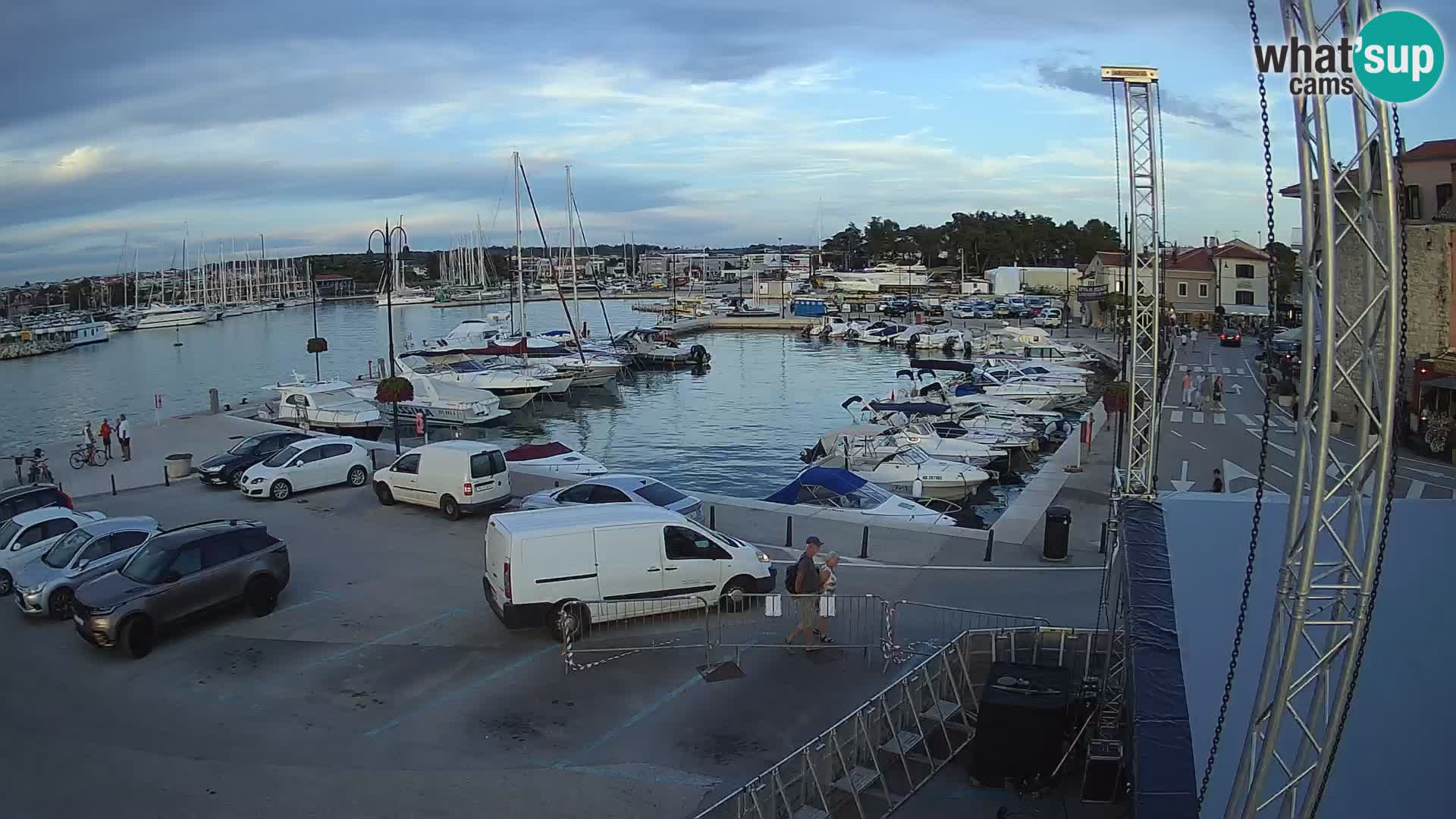 Novigrad | Porporela marina