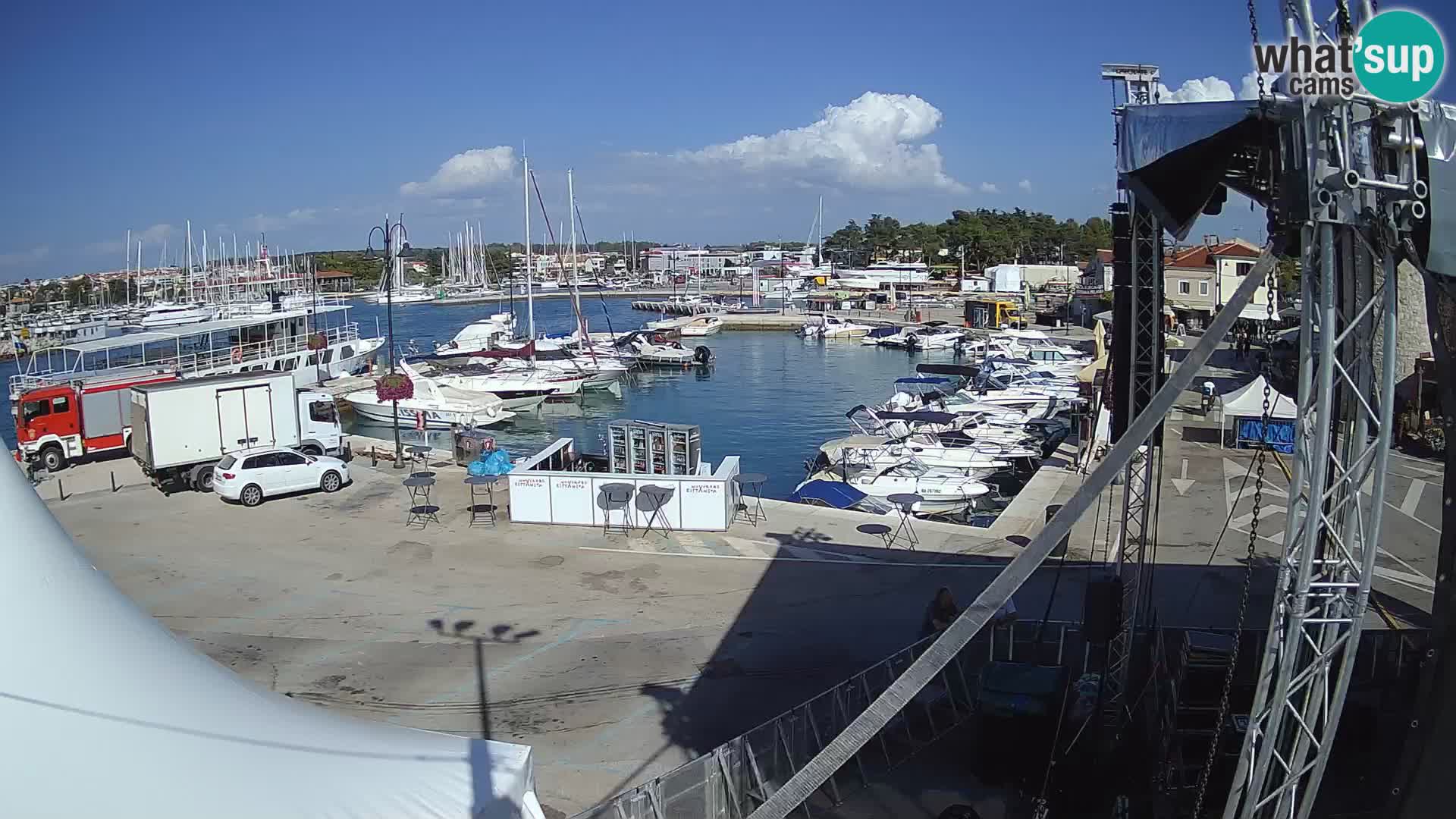 Novigrad | Porporela marina
