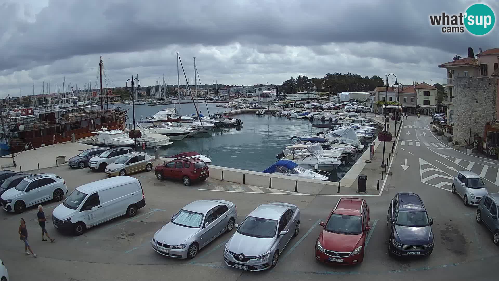 Novigrad | Porporela marina
