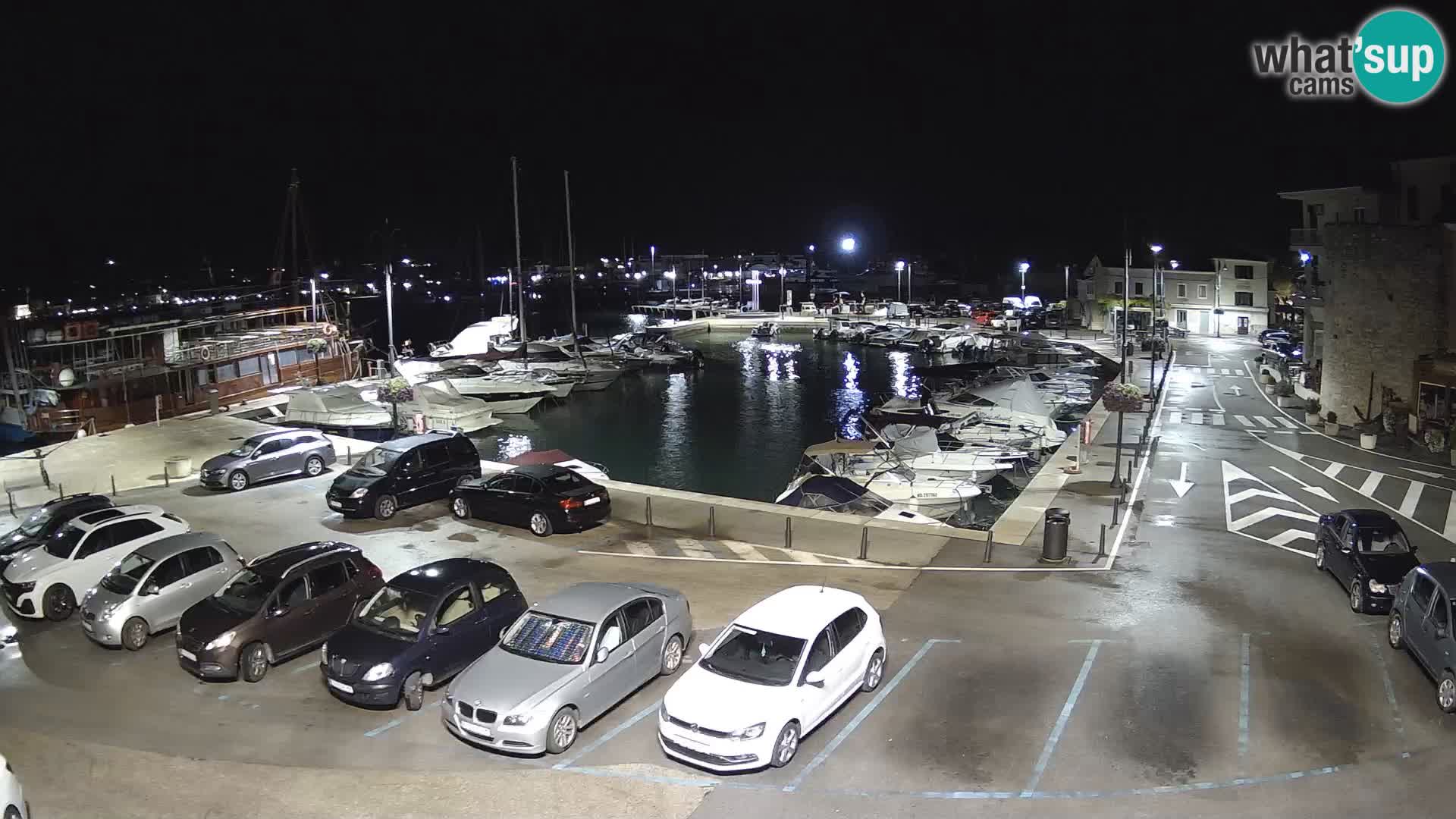Novigrad | Porporela marina