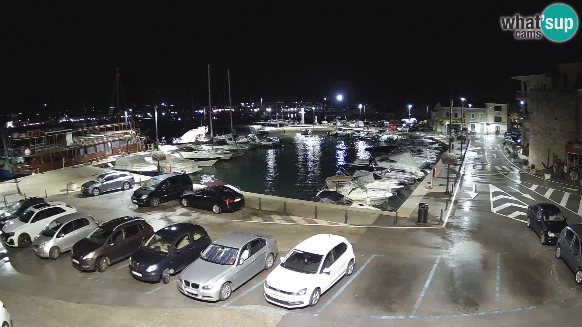 Novigrad | Porporela marina