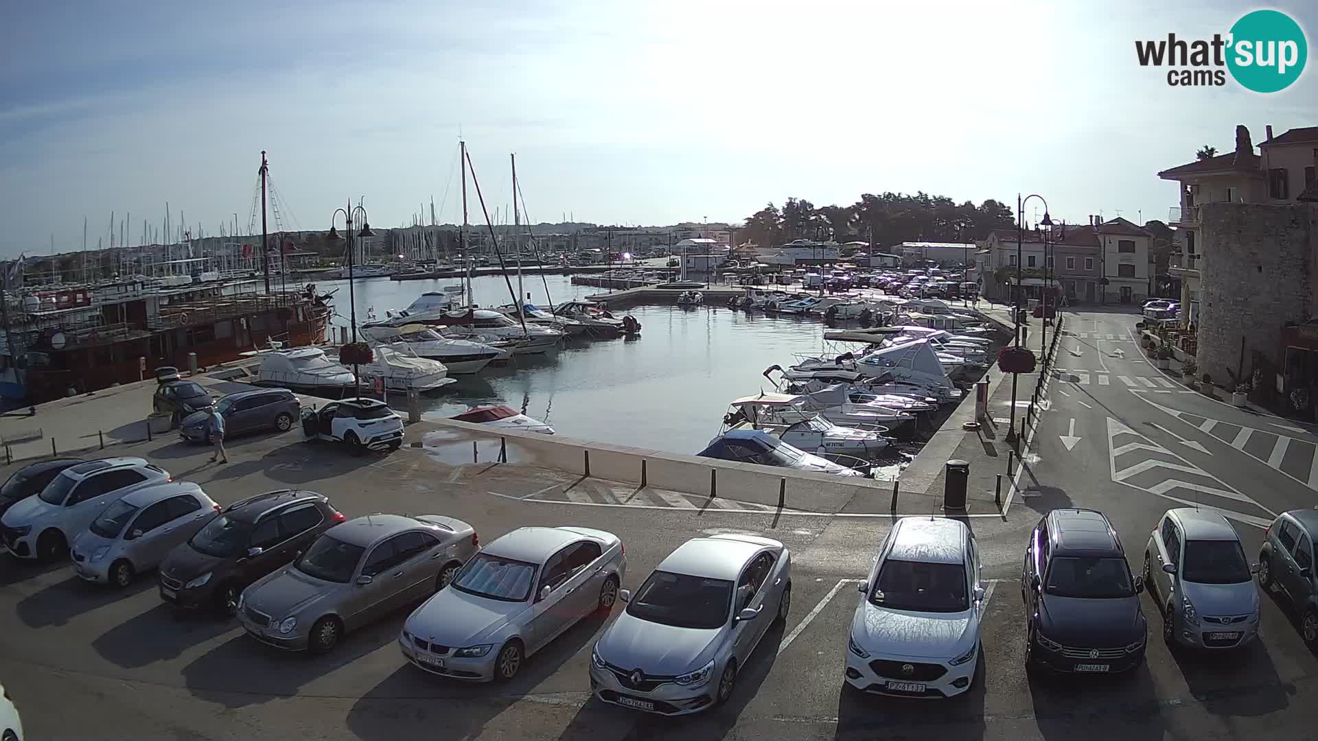 Novigrad | Porporela marina