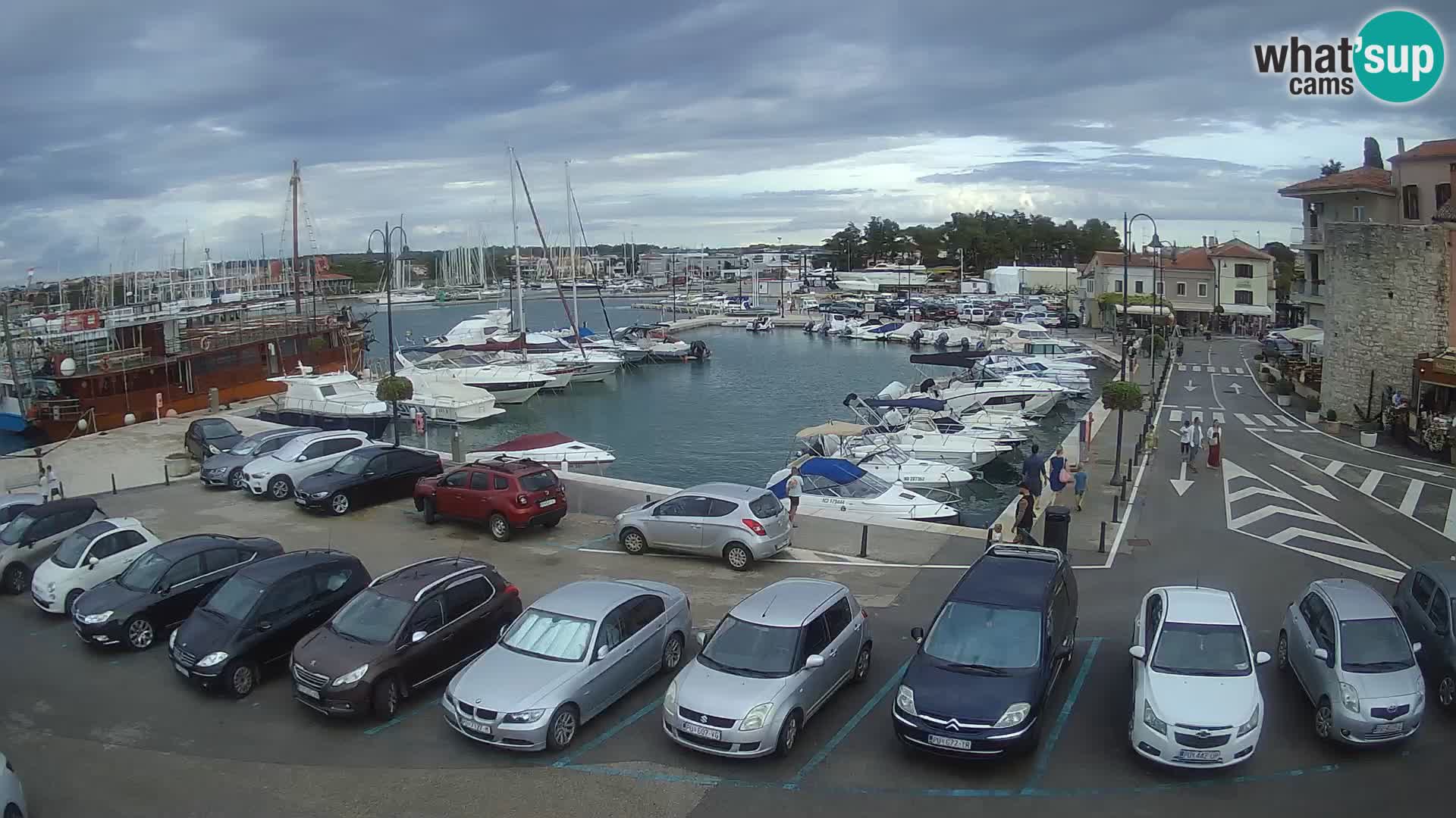 Novigrad | Porporela marina