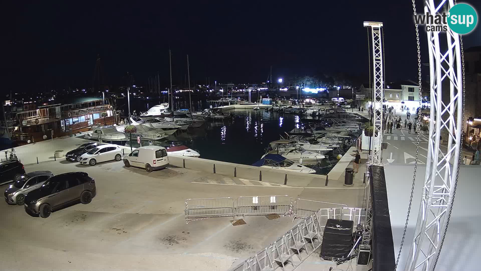Novigrad | Porporela marina