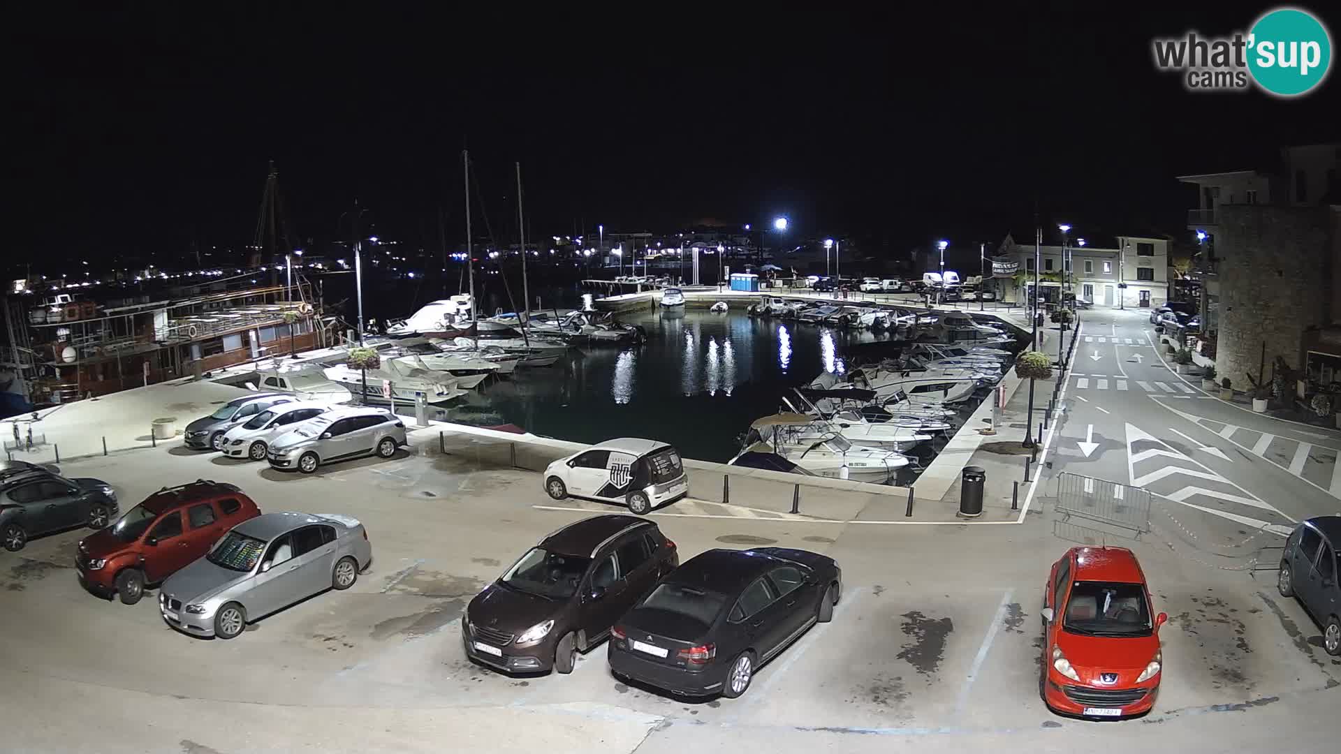 Novigrad | Porporela marina