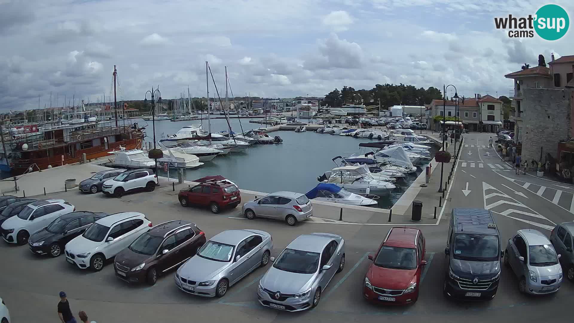 Novigrad | Porporela marina