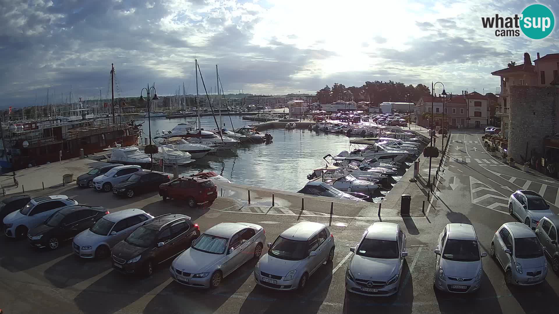 Novigrad | Porporela marina