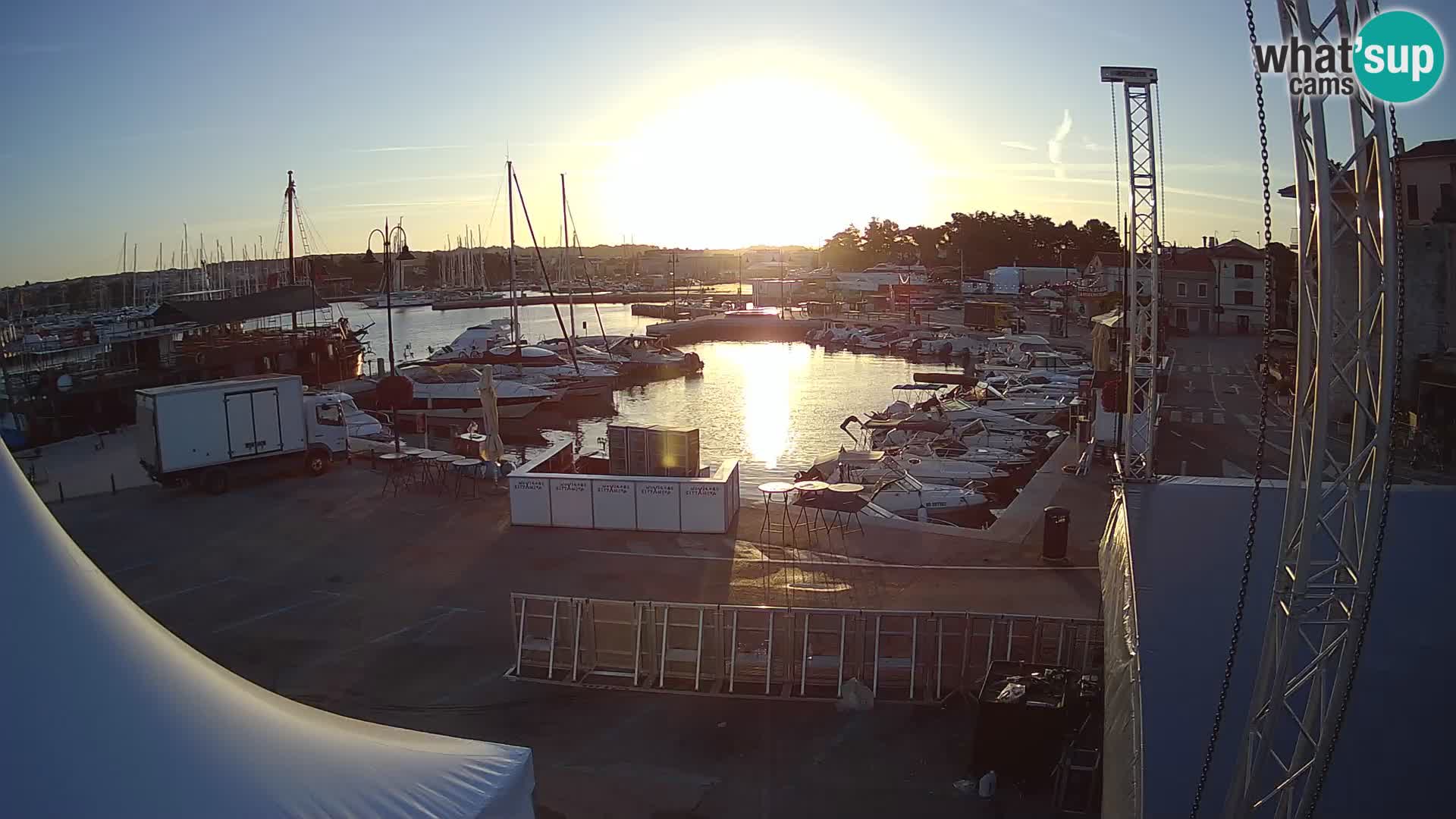Novigrad | Porporela marina