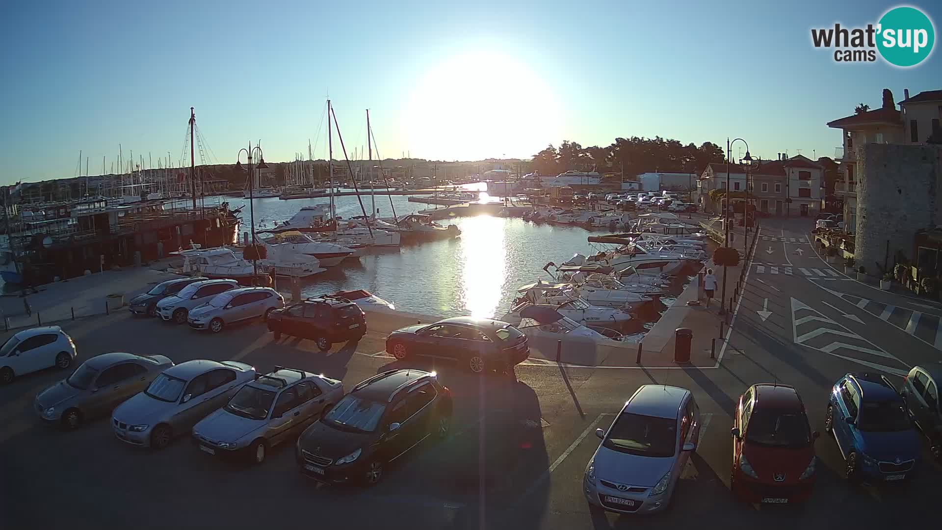 Novigrad | Porporela marina