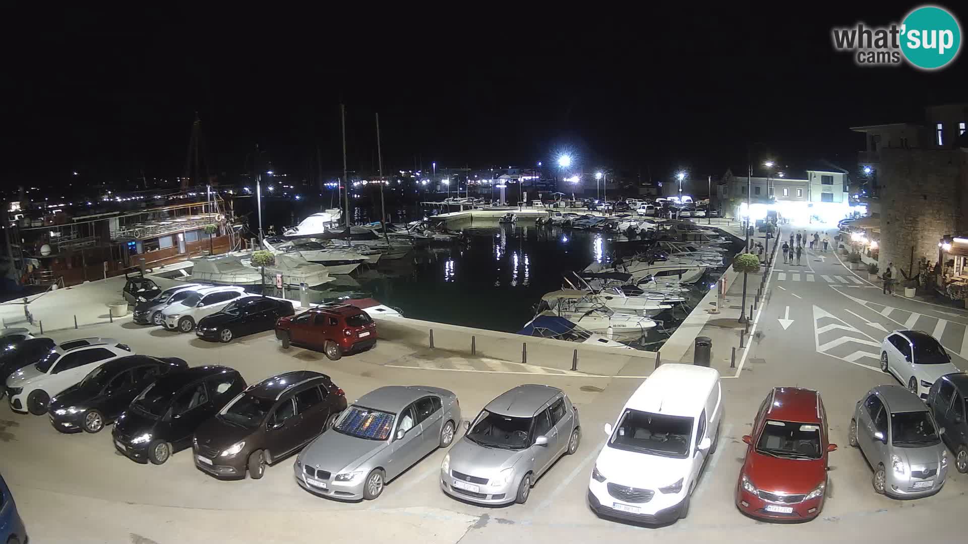 Novigrad | Porporela marina