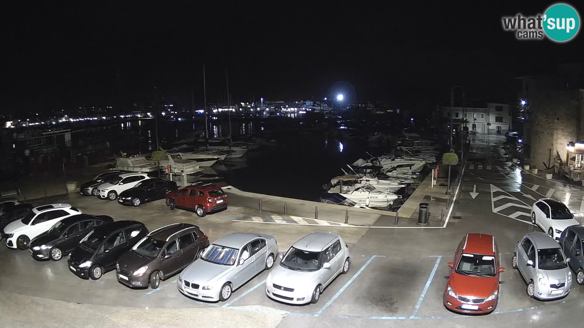 Novigrad | Porporela marina
