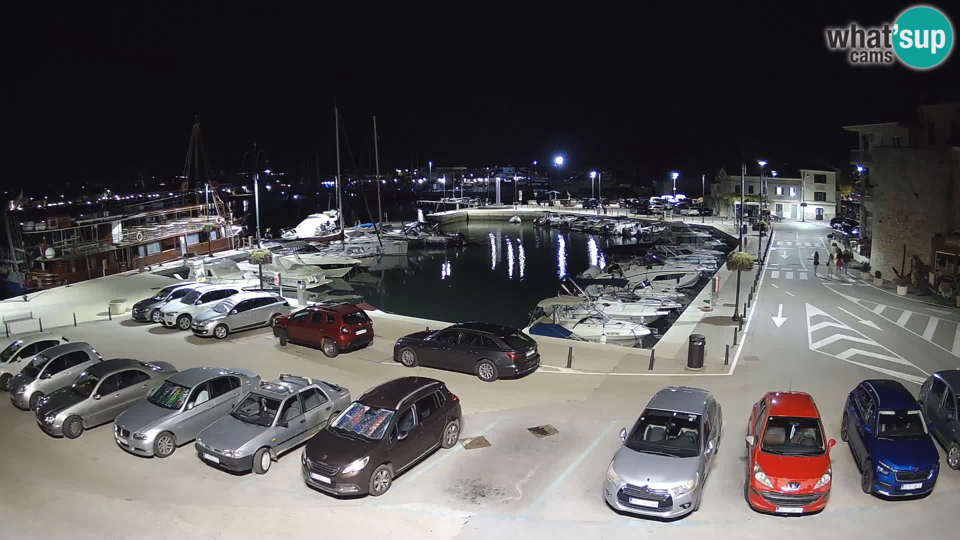 Novigrad | Porporela marina