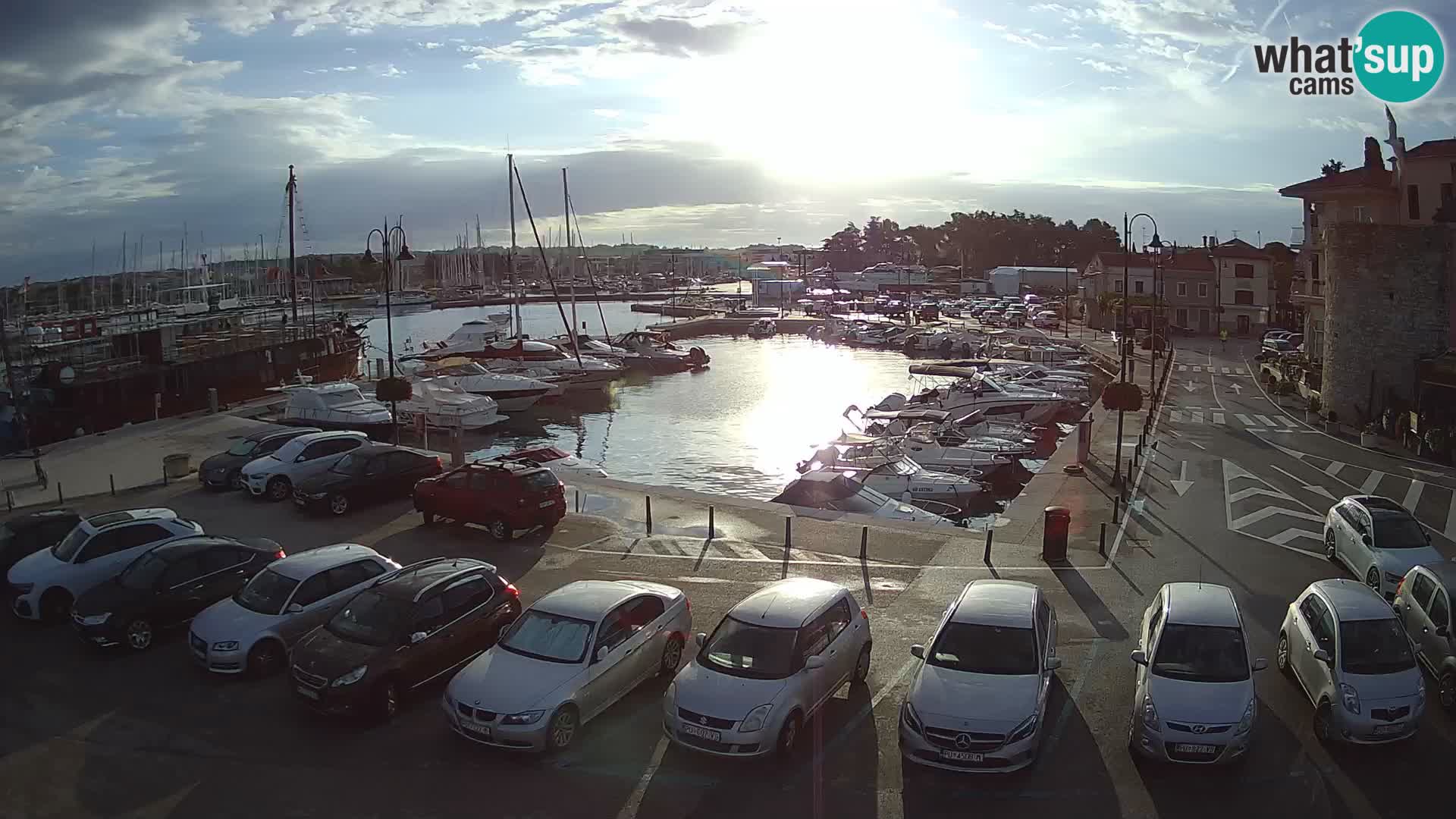 Novigrad | Porporela marina