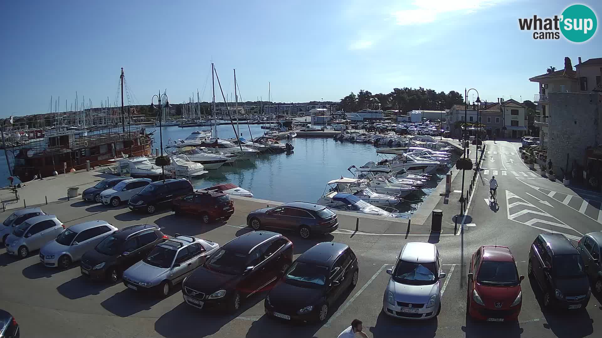 Novigrad | Porporela marina