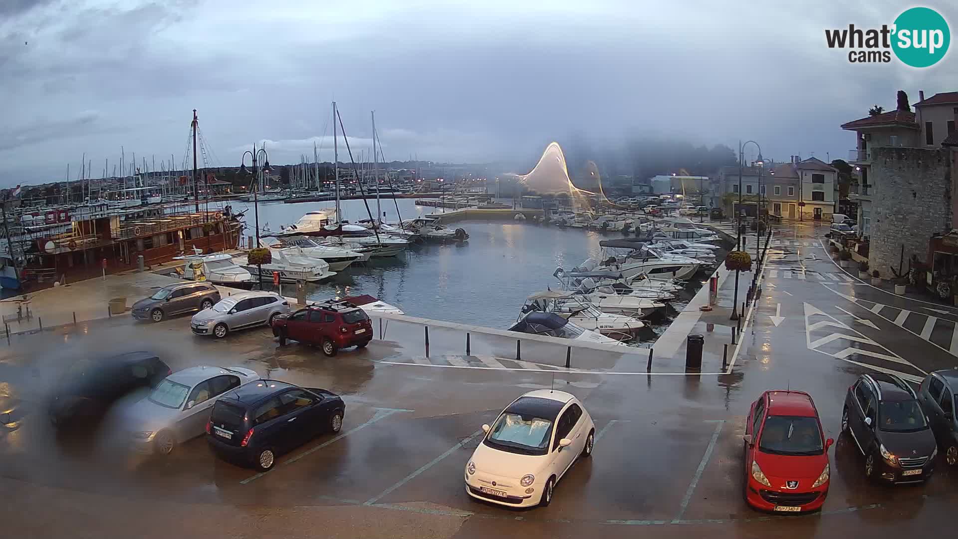 Novigrad | Porporela marina