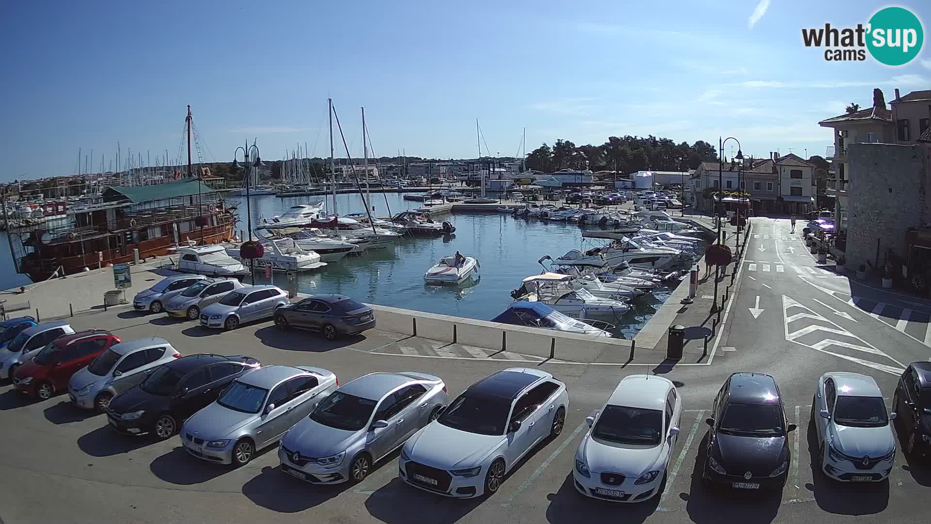 Novigrad | Porporela marina