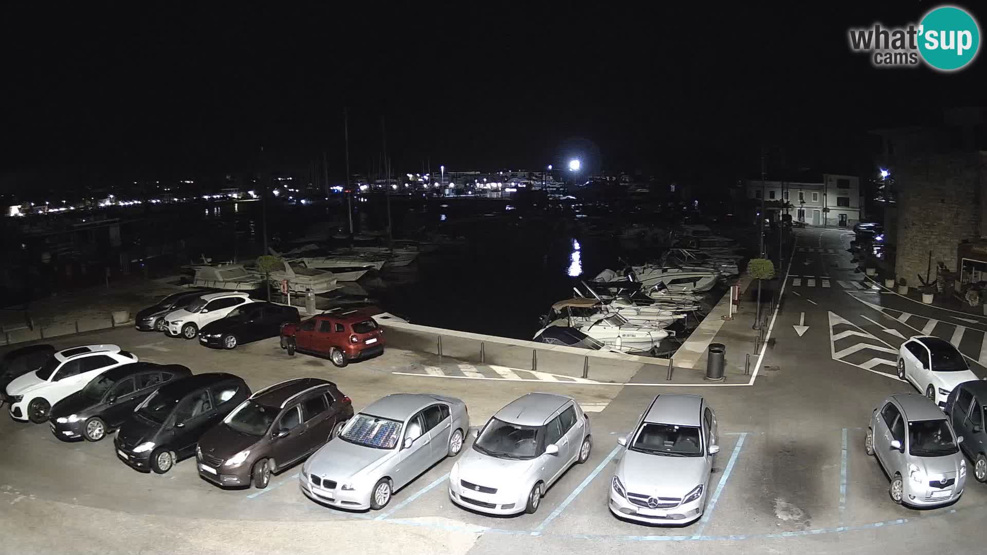 Novigrad | Porporela marina
