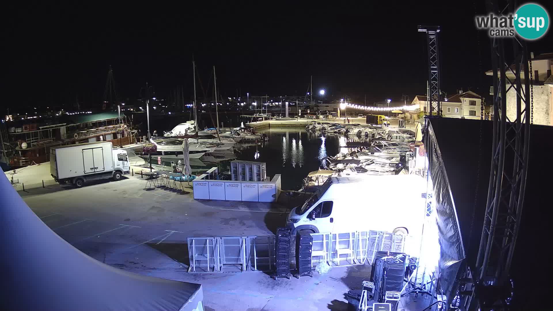 Novigrad | Porporela marina