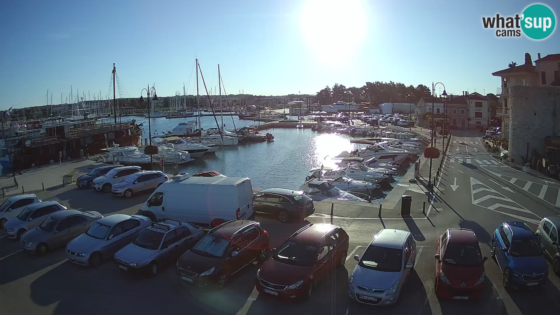 Novigrad | Porporela marina