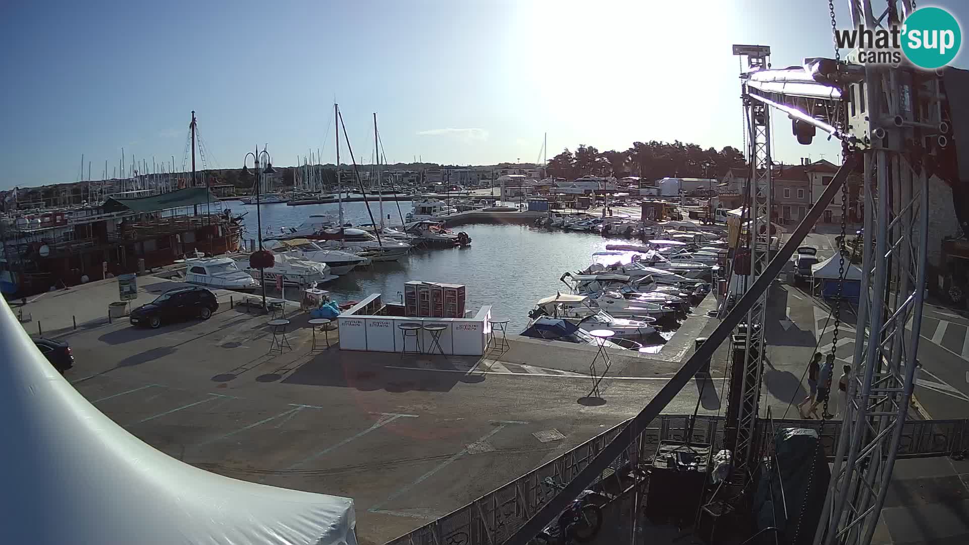 Novigrad | Porporela marina