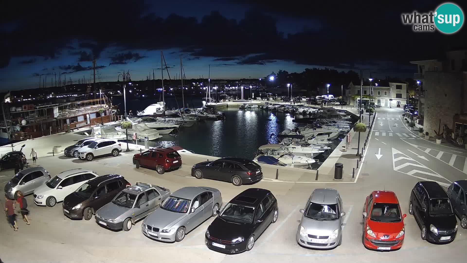 Novigrad | Porporela marina