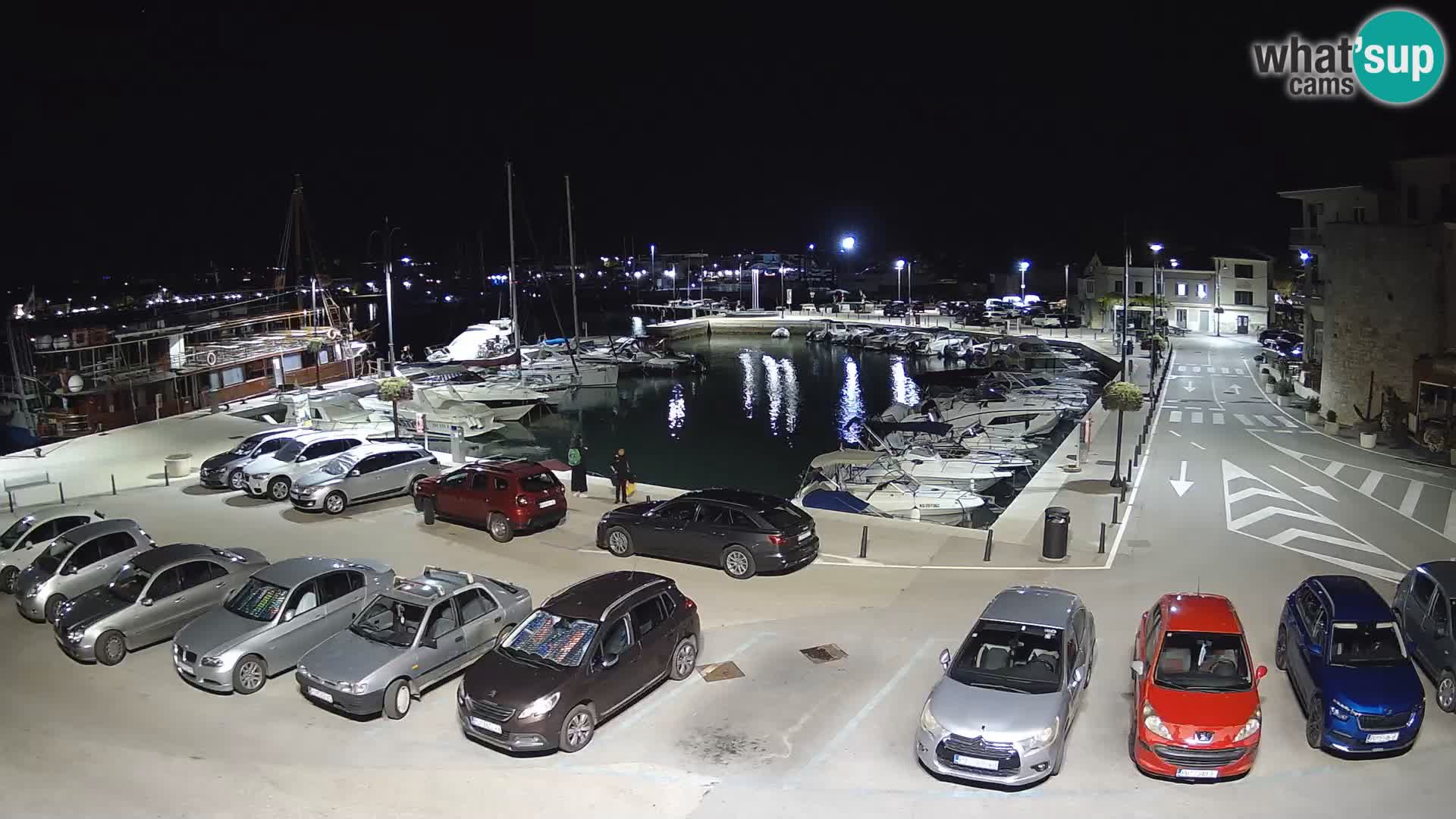 Novigrad | Porporela marina