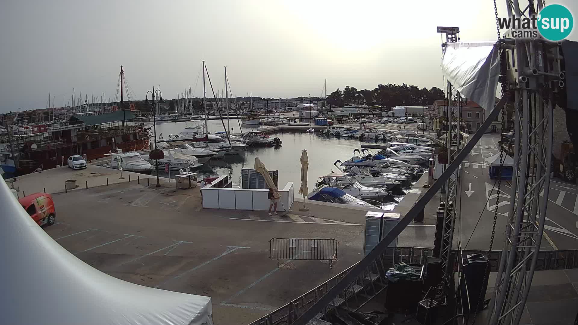 Novigrad | Porporela marina