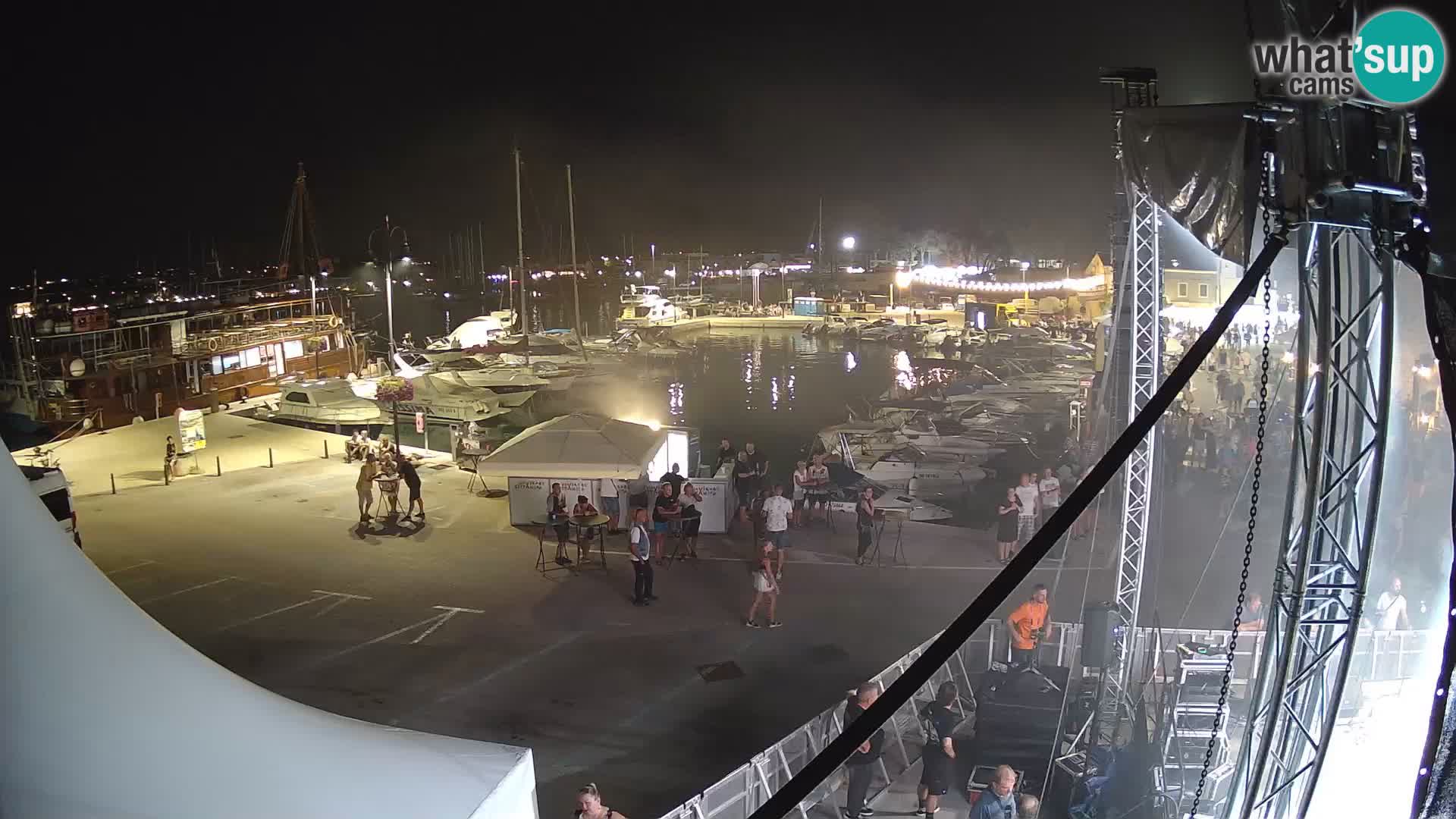 Novigrad | Porporela marina