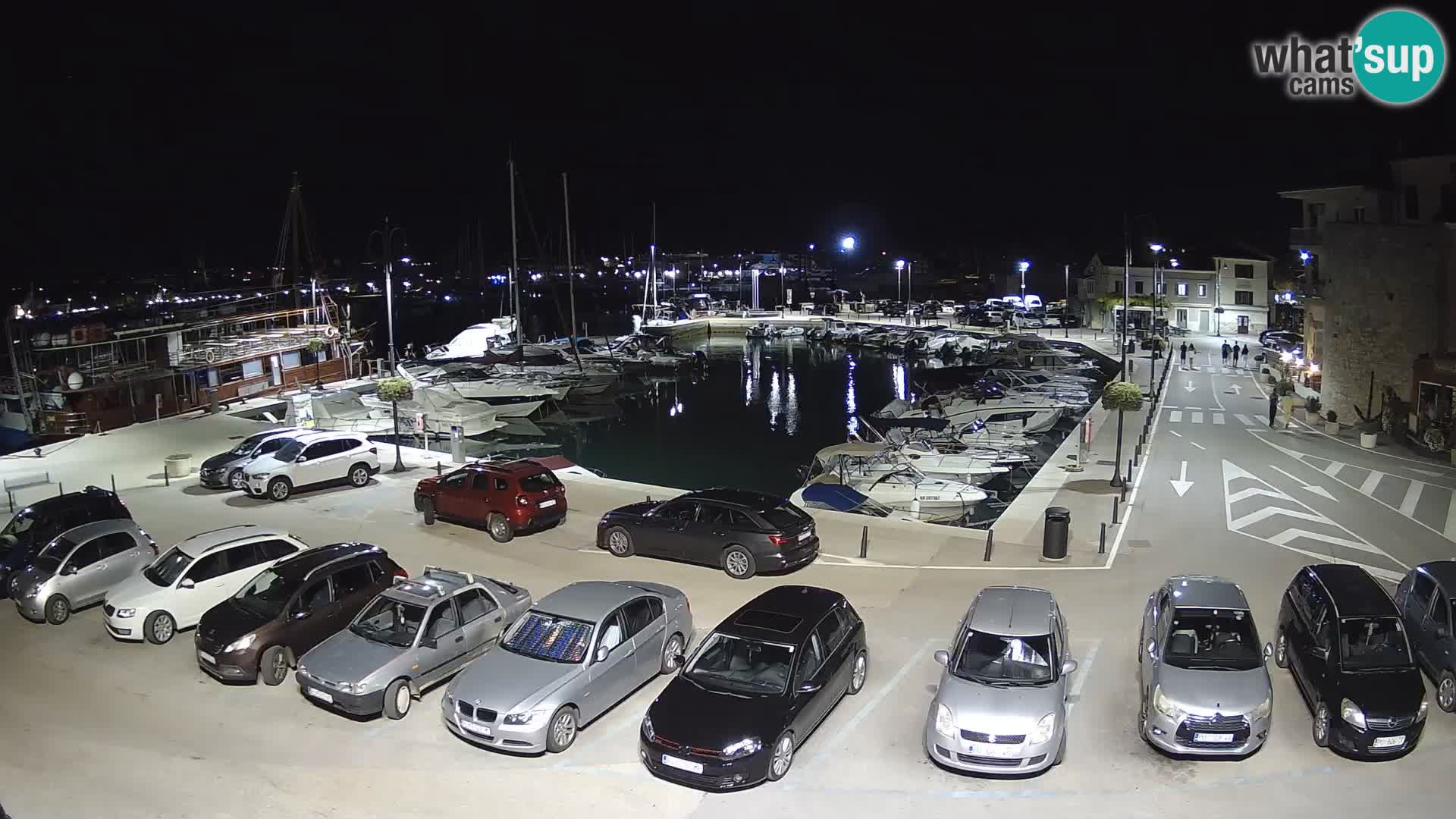 Novigrad | Porporela marina