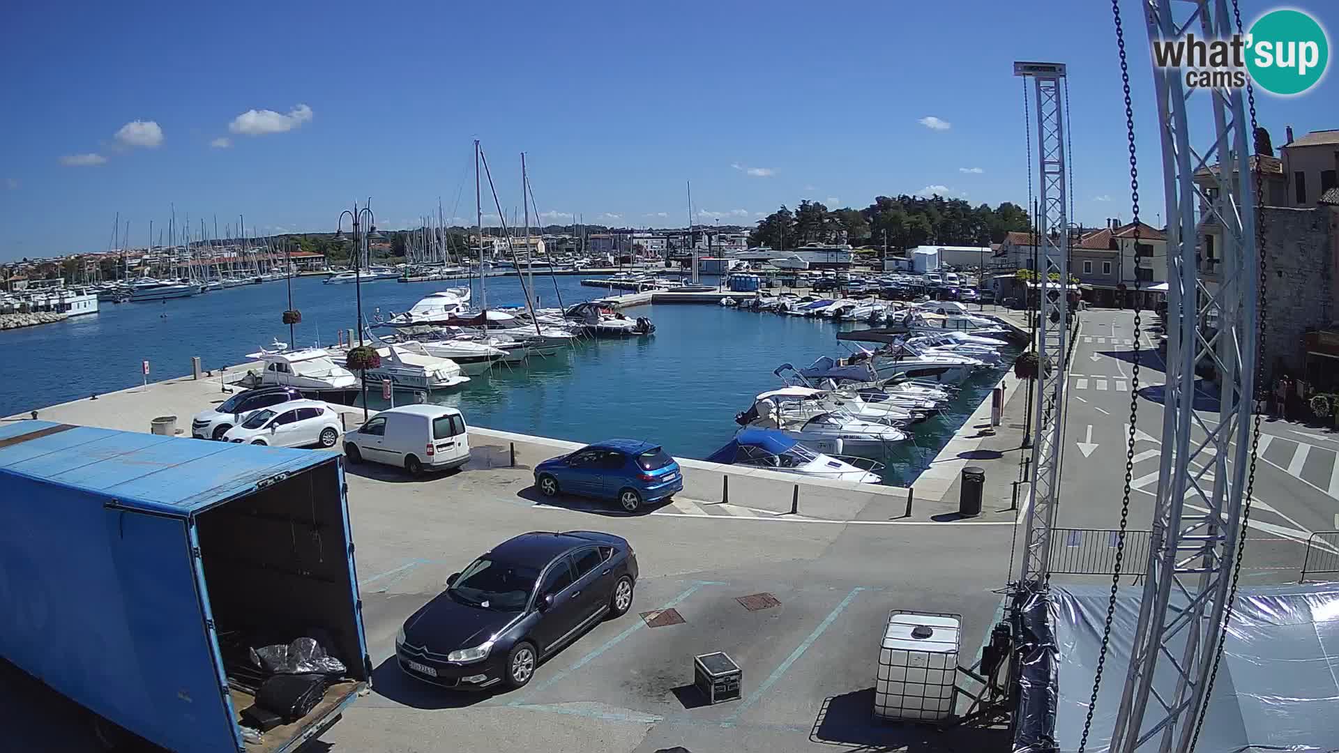Novigrad | Porporela marina