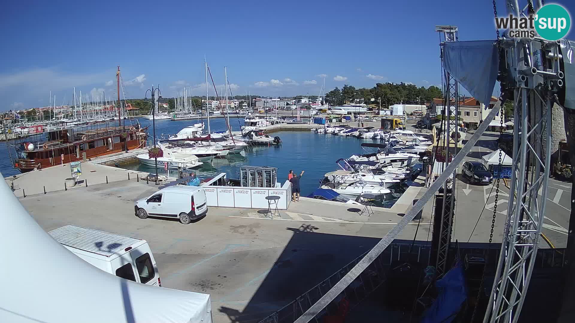 Novigrad | Porporela marina