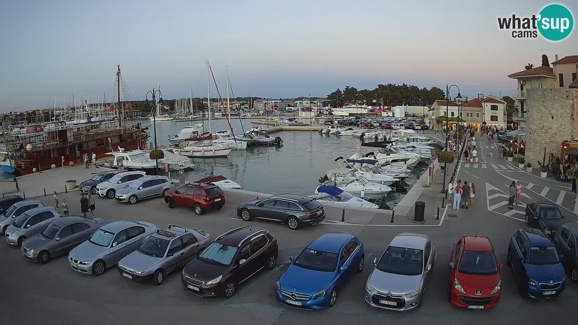 Novigrad | Porporela marina