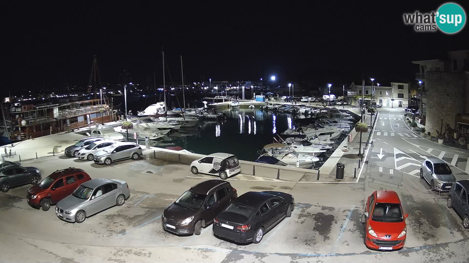 Novigrad | Porporela marina
