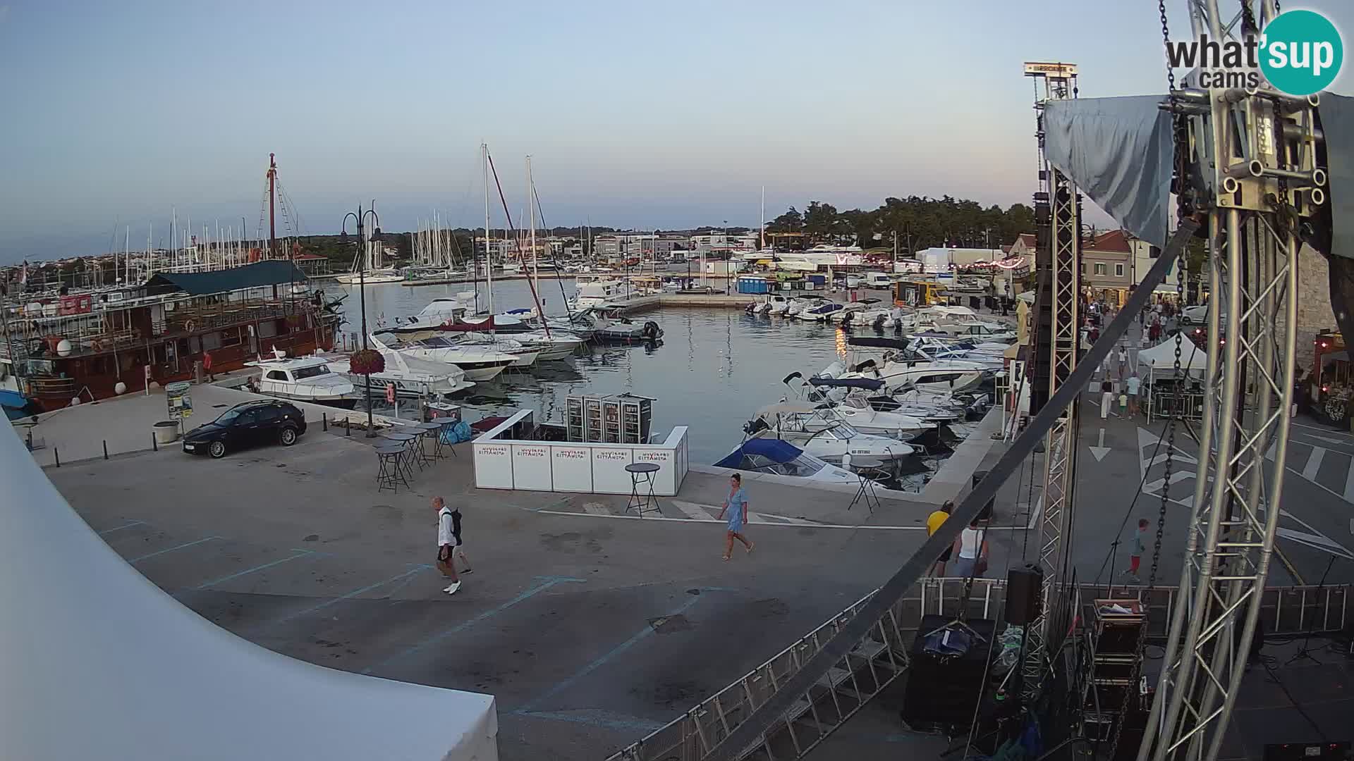 Novigrad | Porporela marina