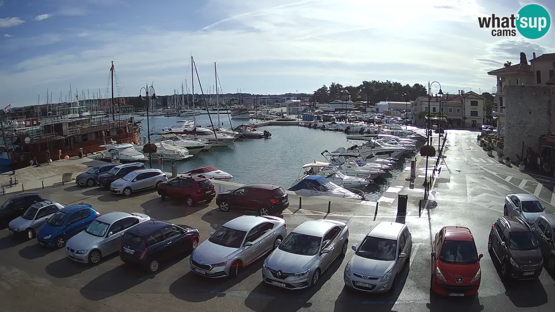 Novigrad | Porporela marina