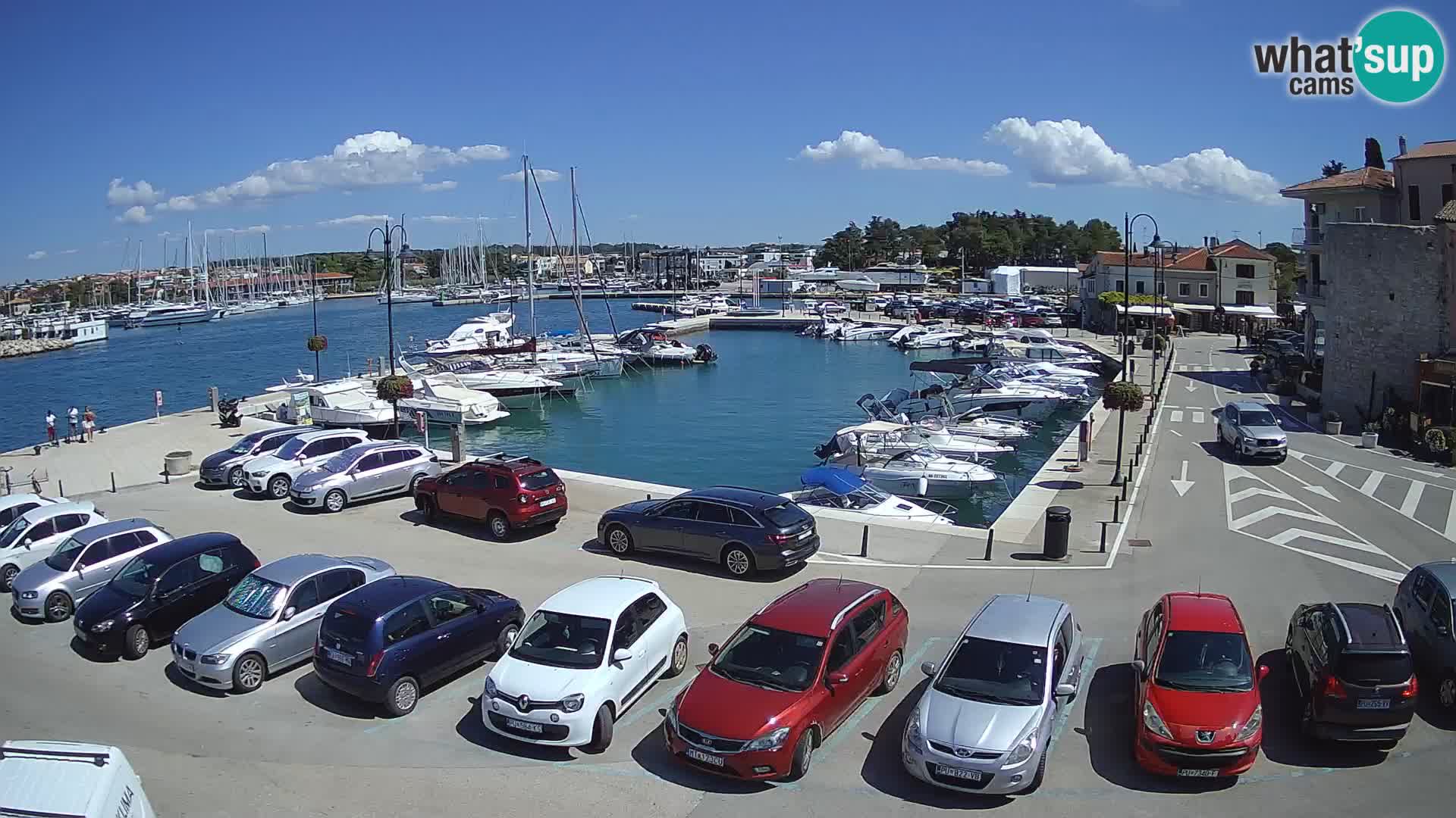 Novigrad | Porporela marina