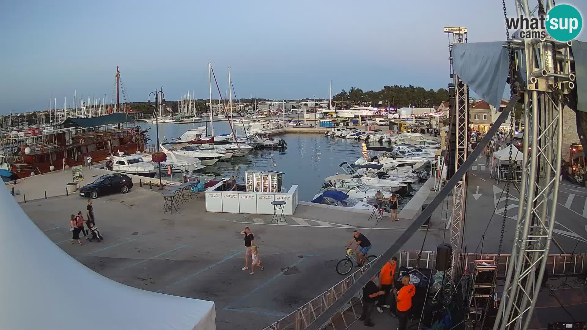 Novigrad | Porporela marina