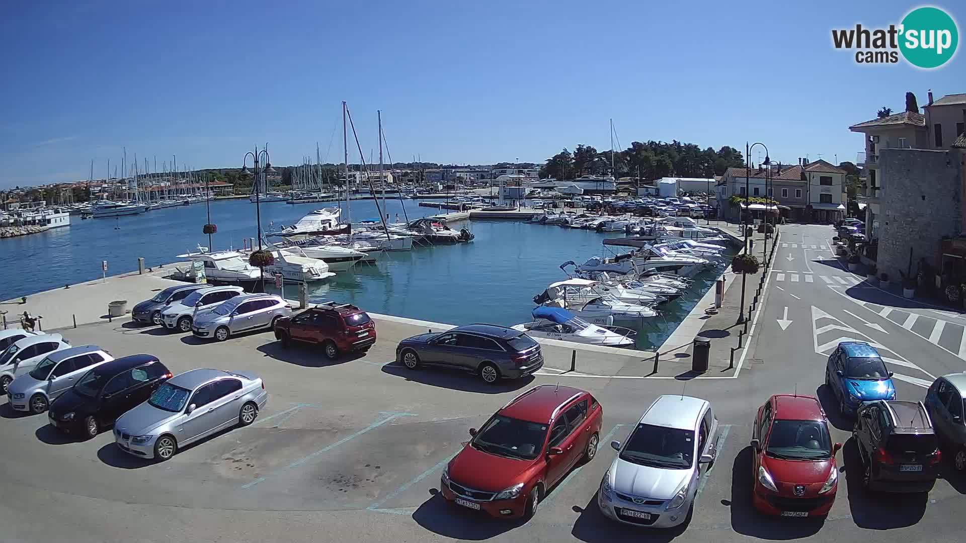 Novigrad | Porporela marina