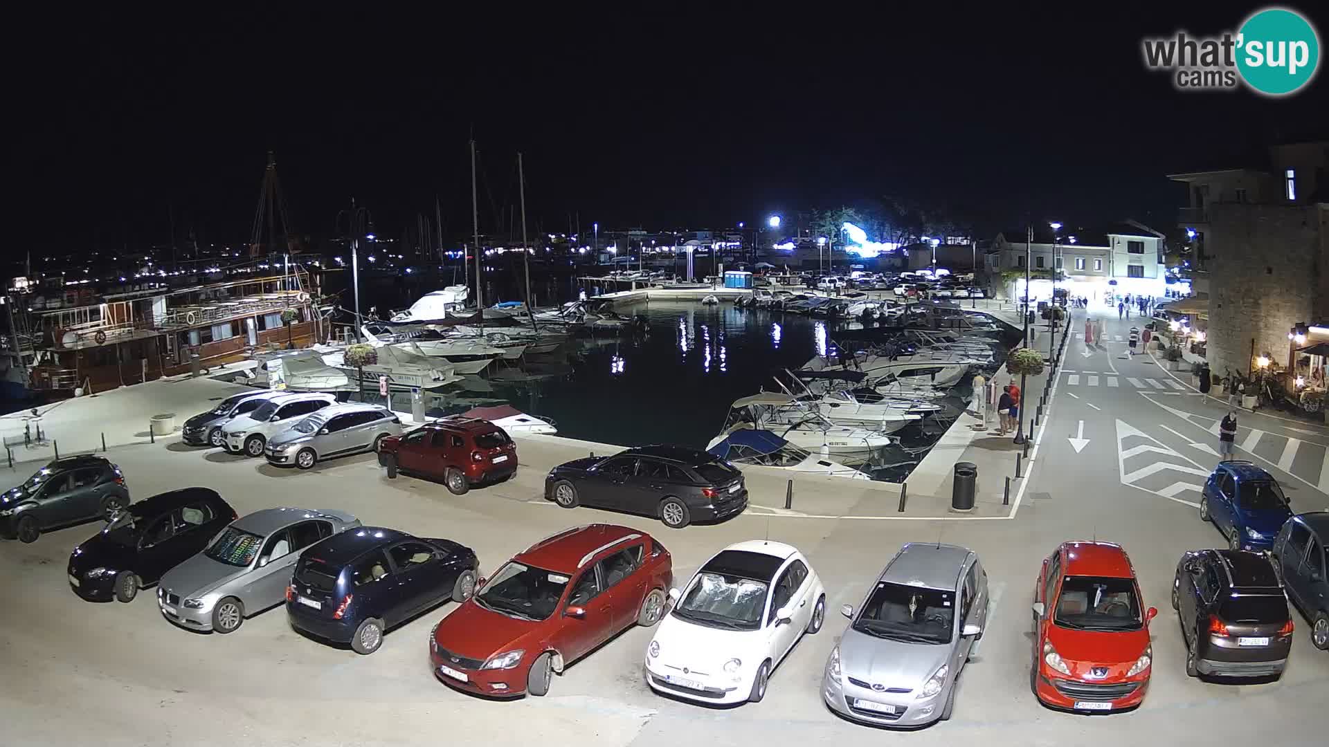 Novigrad | Porporela marina