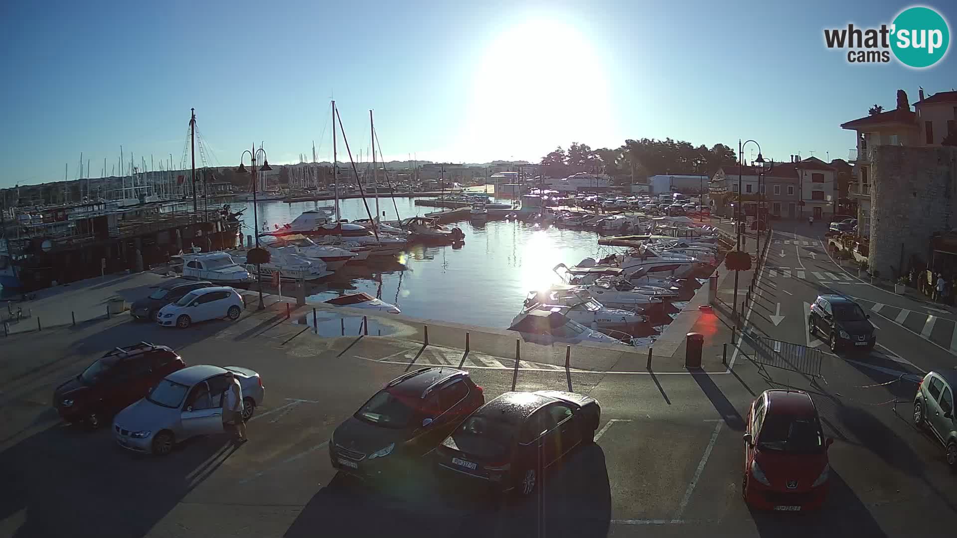 Novigrad | Porporela marina