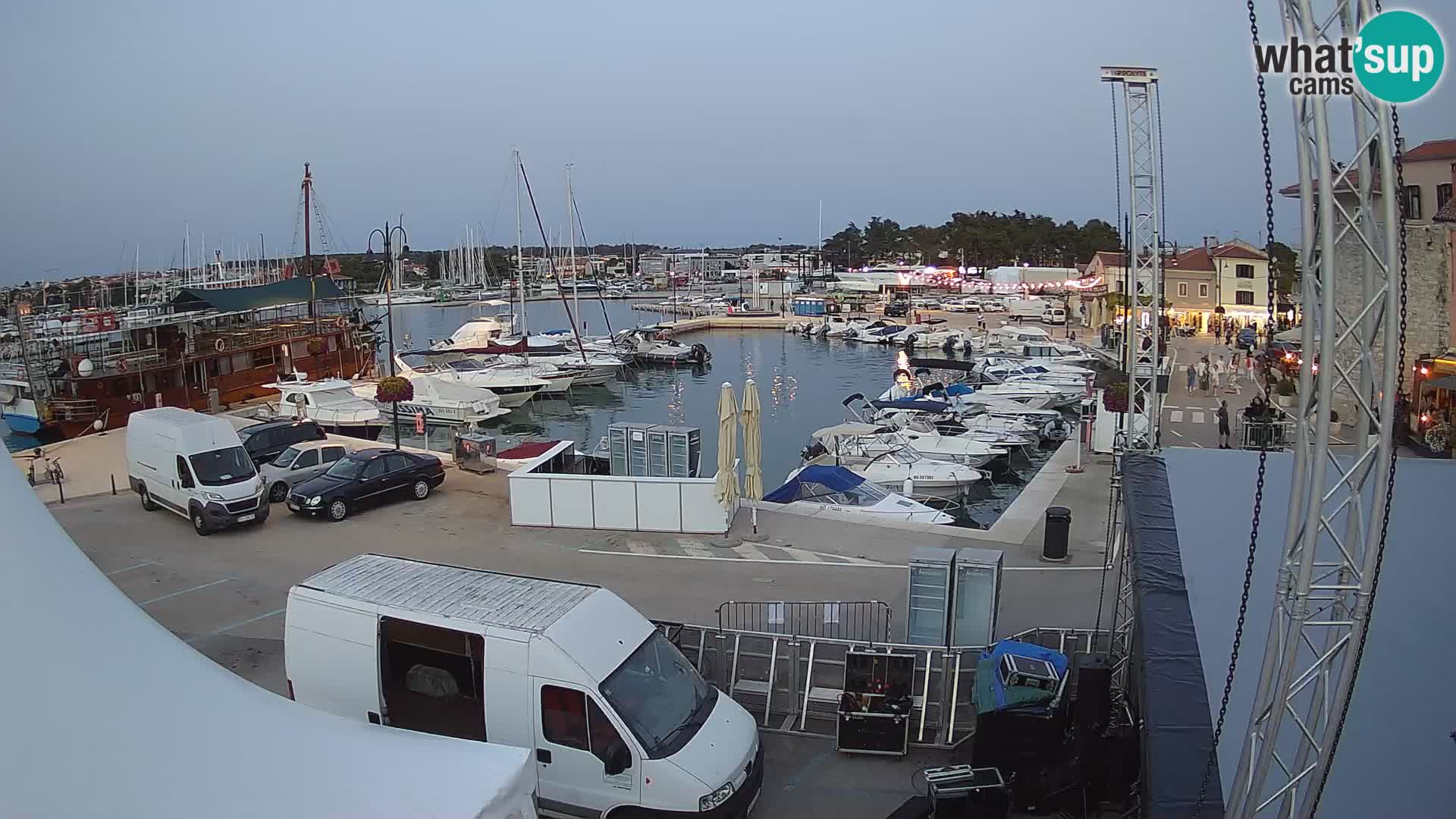 Novigrad | Porporela marina