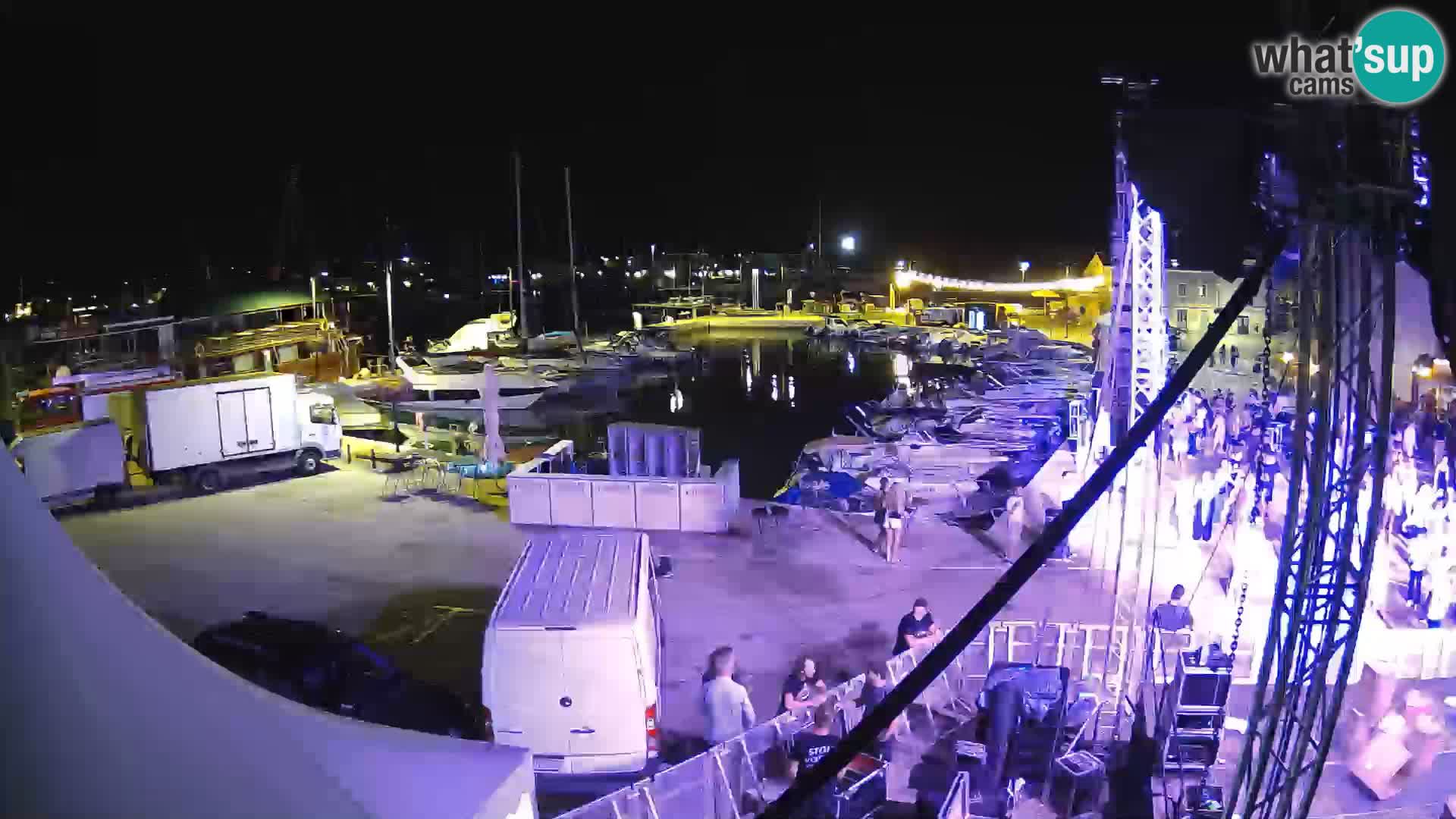 Novigrad | Porporela marina