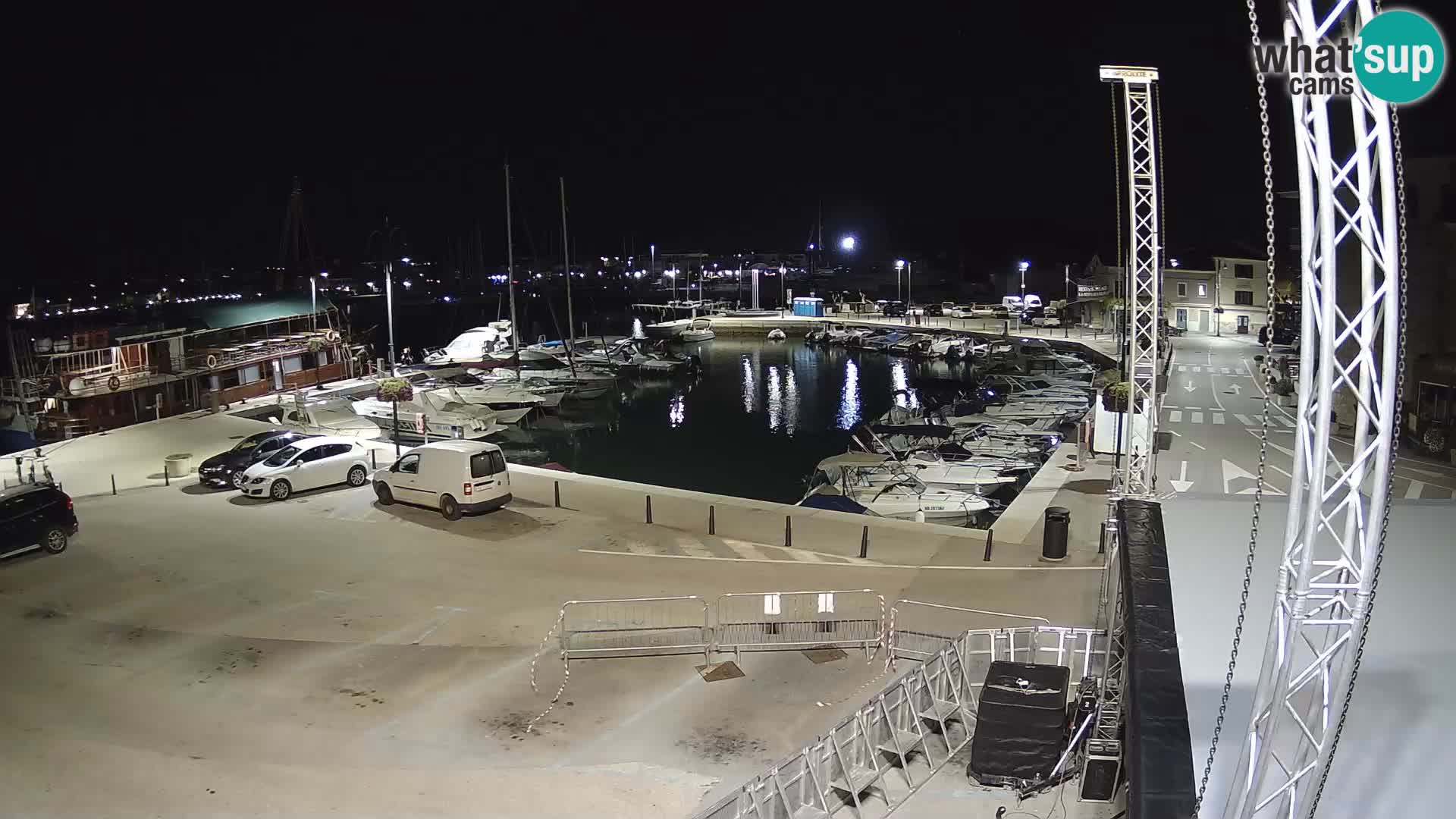 Novigrad | Porporela marina