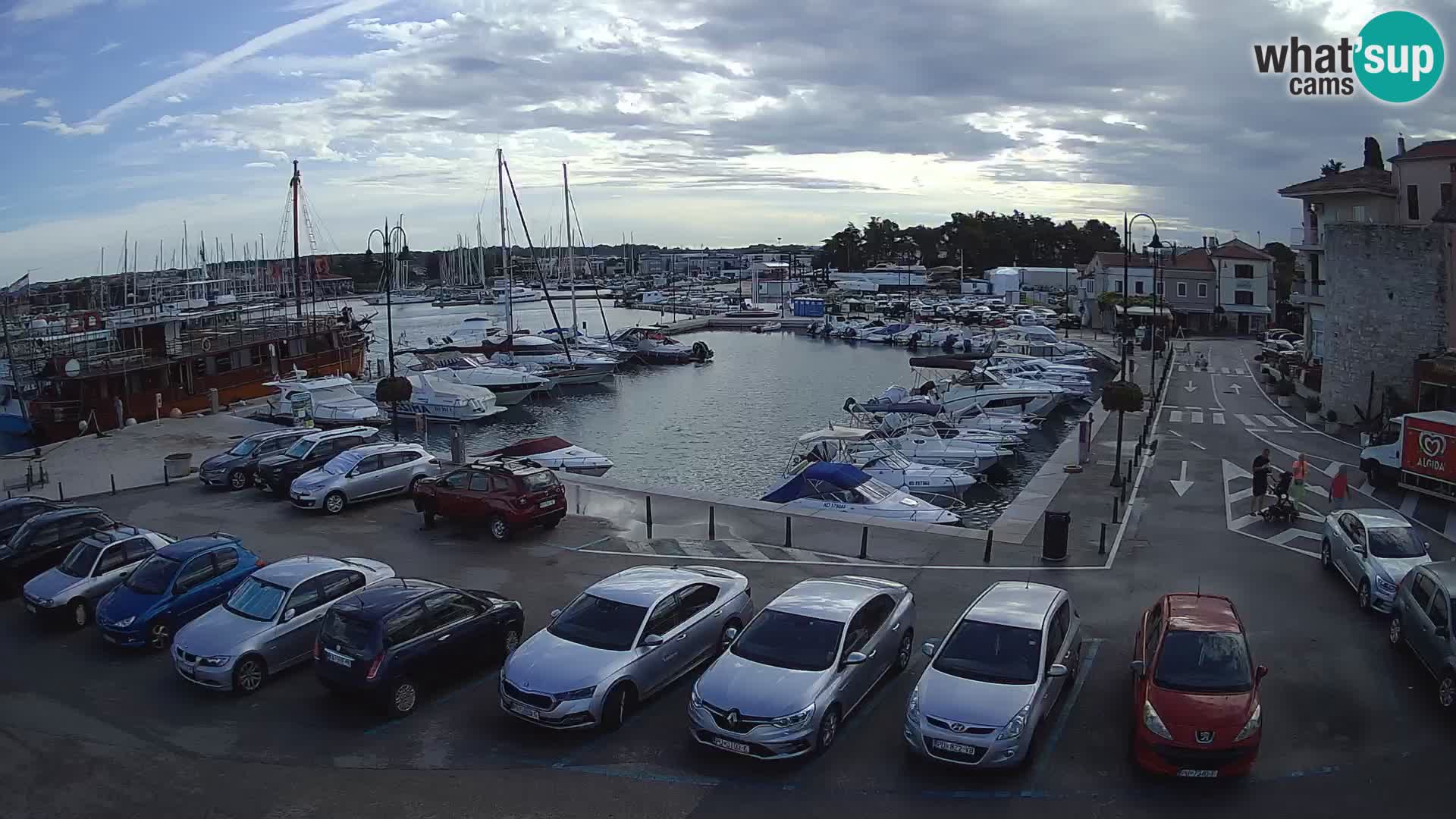 Novigrad | Porporela marina