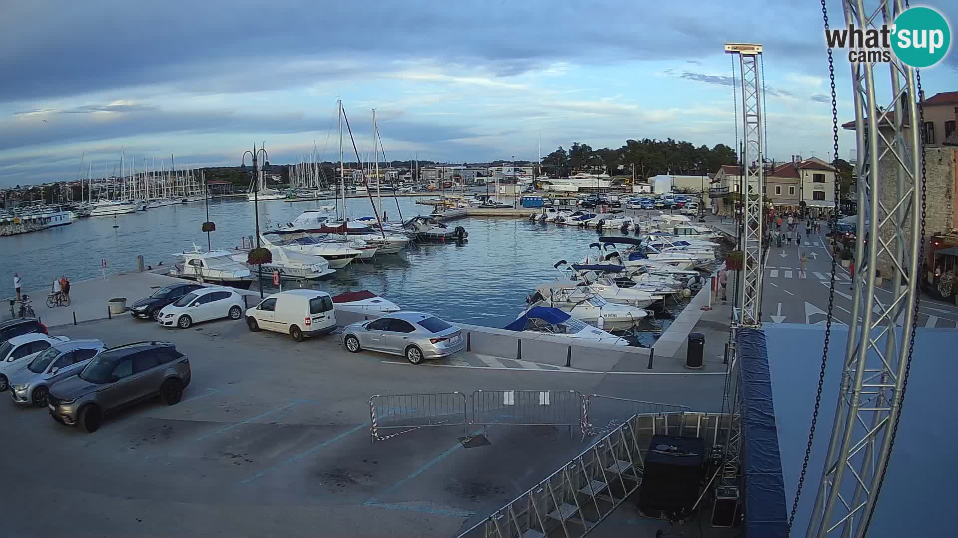 Novigrad | Porporela marina